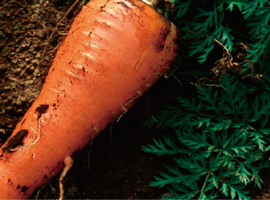 ArtTableいろのわ