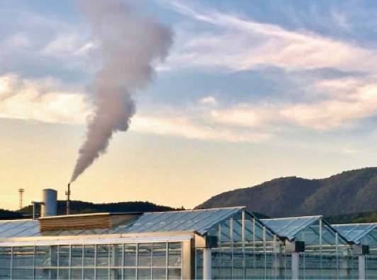 ArtTableいろのわ