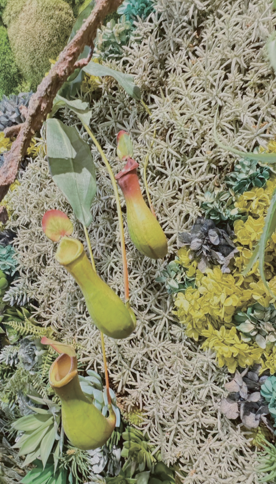 ArtTableいろのわ