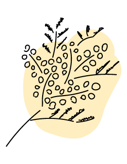 ArtTableいろのわ