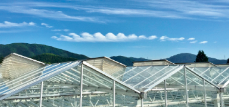 ArtTableいろのわ