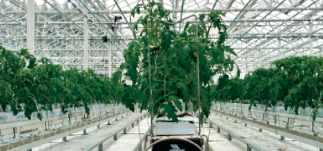 ArtTableいろのわ