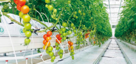 ArtTableいろのわ